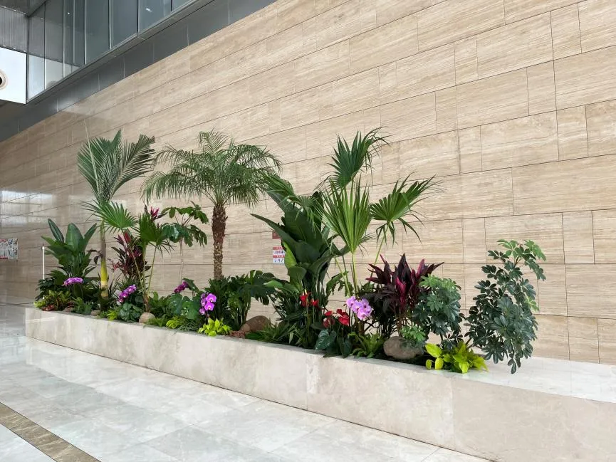 奉化盆景租摆价格